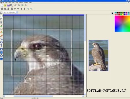 Falco Icon Studio 6.0 Portable