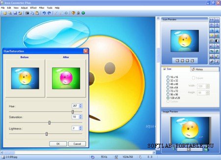 Icon Converter Plus 4.8 Portable