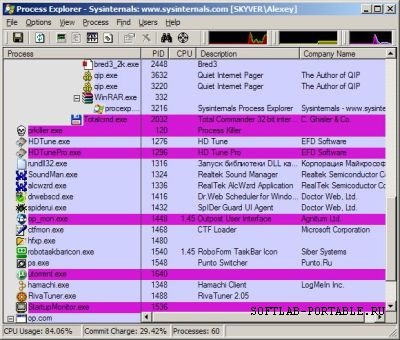 Process Explorer 17.05 Portable