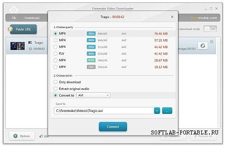 Freemake Video Downloader 3.8.0.29 Portable